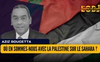 Où en sommes-nous avec la Palestine sur le Sahara ?