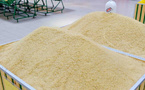 55 000 tonnes de riz pour sécuriser l’alimentation des Marocains