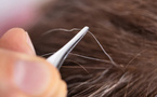 Cheveux blancs : pourquoi les arracher est une (très) mauvaise idée ?