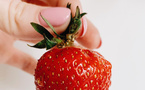 Stop au gâchis ! Même les queues de fraises ont leur mot à dire
