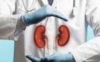 Hypertension silencieuse : quand les reins jettent l’éponge