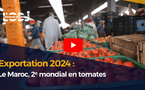 Le Maroc, 2ᵉ exportateur mondial de tomates en 2024