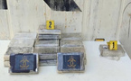 Coup de filet au port de Tanger Med : 25 kilos de cocaïne interceptés !
