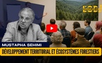 Développement territorial et écosystèmes forestiers