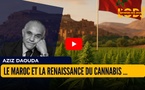 Le Maroc et la Renaissance du Cannabis : Histoire, Régulation et Enjeux Économiques Actuels