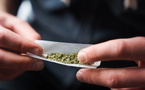 Intoxications au cannabis : chiffres alarmants chez les moins de 20 ans