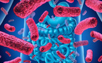 Microbiote intestinal : votre allié invisible pour la santé et le bien-être