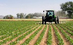 Agriculture et technologie : le Maroc mise gros en 2024