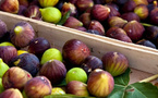 Fini le gaspillage ! les astuces simples pour conserver vos figues