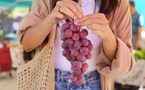 Peut-on manger du raisin quand on a du diabète ?