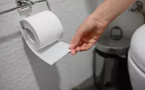 Peut-on développer une allergie au papier toilette ?