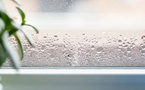 Humidité : quand vos murs prennent l’eau, voici comment riposter