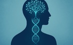 L’épigénétique : quand nos émotions modifient nos gènes