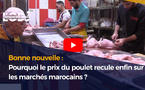 Pourquoi le prix du poulet recule enfin sur les marchés marocains ?