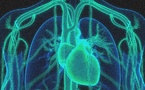 Un coup d’éclat thérapeutique : la thérapie CRISPR qui coupe le « mauvais » cholestérol en deux