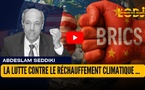La lutte contre le réchauffement climatique : les BRICS s’engagent et les USA se dégagent !