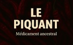 Le piquant, ce médicament ancestral qu’on avait sous la main