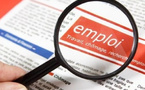 Emploi : La "mère des batailles... "