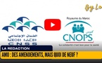 [vidéo] : ​AMO : des amendements, mais quoi de neuf ?