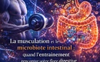 La musculation et le microbiote intestinal : quand l’entraînement rencontre votre flore digestive