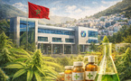 Cannabis médical : 145 MDH pour la première unité marocaine à vocation pharmaceutique à Chefchaouen.