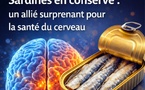 Sardines en conserve : un allié surprenant pour la santé du cerveau