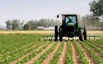 Entrepreneuriat rural