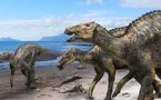 Le Maroc fait revivre un dinosaure vieux de 100 millions d’années à Tendrara !
