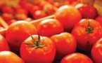 Tomates : le Maroc accorde 750 DH par tonne pour soutenir les exportations hors UE