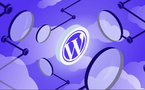DGSSI : des failles critiques dans plusieurs plugins WordPress au Maroc