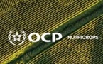 OCP Nutricrops accélère : deux nouveaux hubs stratégiques en Europe et en Inde