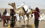 Guerre au Moyen-Orient : la FAO alerte sur un choc alimentaire mondial imminent
