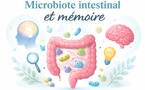 Microbiote intestinal et mémoire