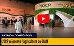 [vidéo] : L'OCP réinvente l’agriculture au SIAM
