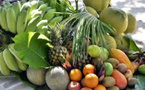 Boom des fruits tropicaux au Maroc