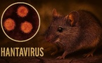 Hantavirus : symptômes précoces, transmission et mesures préventives