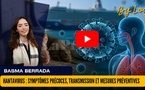 [vidéo] : Hantavirus : symptômes précoces, transmission et mesures préventives
