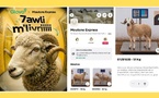 Glovo Maroc lance un service de livraison de moutons pour l’Aïd Al-Adha via son application
