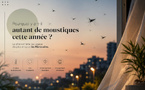 Pourquoi y a-t-il autant de moustiques cette année ?