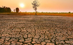 El Niño fait son retour : un épisode potentiellement parmi les plus puissants jamais observés