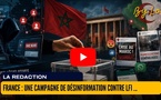 [vidéo] : France : une campagne de désinformation contre LFI attribuée à une officine israélienne privée