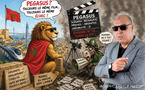 Pegasus Airlines… Le vol imaginaire qui décolle chaque été !!