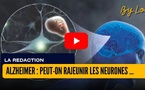 [vidéo] : Alzheimer : peut-on rajeunir les neurones sans effacer la mémoire ?