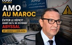 AMO au Maroc : éviter le déficit avant qu’il ne devienne abyssal
