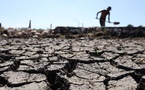 El Niño se renforce : quels risques pour le climat et l’agriculture au Maroc ?
