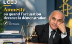 Amnesty ou quand l’accusation devance la démonstration