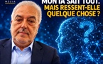 Mon IA sait presque tout. Mais sait-elle qu’elle existe ?