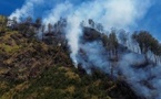Indonésie : quatre morts dans un incendie au parc national du mont Bromo