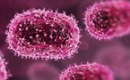 France : le premier patient humain infecté par le virus Shamonda est décédé
