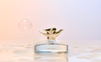 Dove met son savon en parfum : la douche joue les prolongations